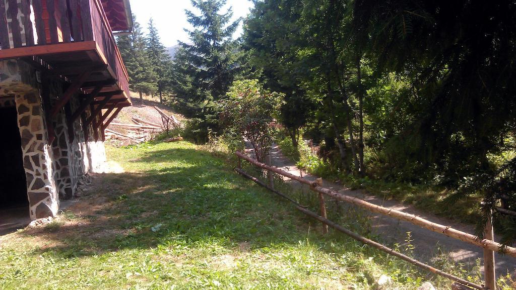 Chata Alia Vyšná Boca Bagian luar foto